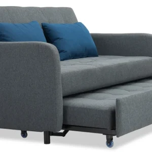 Sofa Cum Bed cleaning