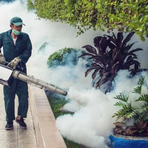 Dengue Spray