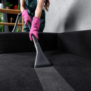Sofa Cleaning Rexine